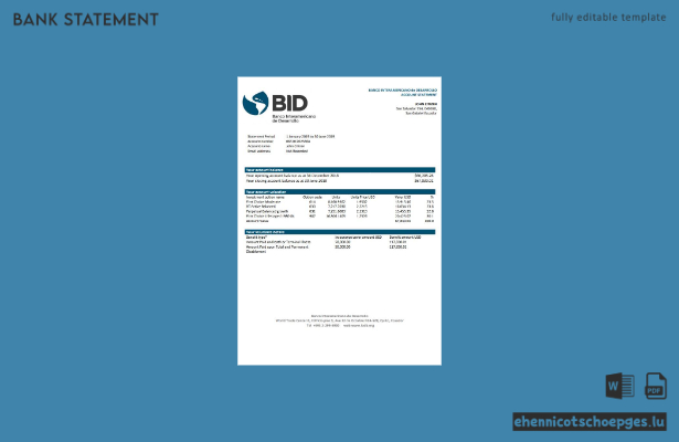 Beispiel eines Kontoauszugs der Interamerikanischen Entwicklungsbank (IDB) von Ecuador (Vorschau)